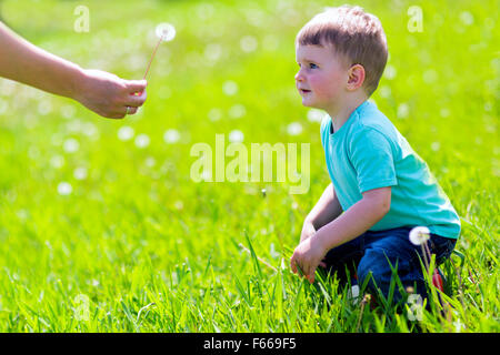 Jungen erhalten einen Löwenzahn im Feld Stockfoto