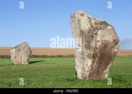 West Kennet Avenue führt zu Avebury neolithische Steinkreis, Avebury in der Nähe von Marlborough, Wiltshire, England, UK Stockfoto