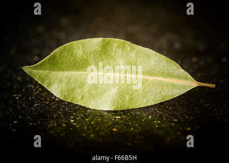 Lorbeerblätter auf schwarzem Marmor Schreibtisch eng Stockfoto