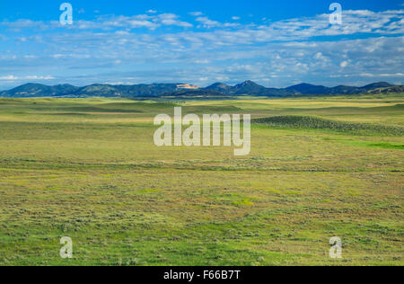 Prärie östlich der kleinen Rocky Mountains im Phillips County in der Nähe von schlichteten, montana Stockfoto