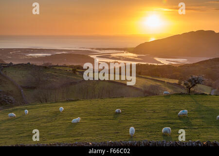 Sonnenuntergang über Barmouth und Mawddach Mündung mit der fernen Llyn Halbinsel, North Wales, UK Stockfoto