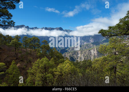 La Cumbrecita in den Parque Nacional De La Caldera de Taburiente National Park, La Palma, Kanarische Inseln, Spanien, Europa Stockfoto