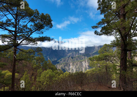 La Cumbrecita in den Parque Nacional De La Caldera de Taburiente National Park, La Palma, Kanarische Inseln, Spanien, Europa Stockfoto