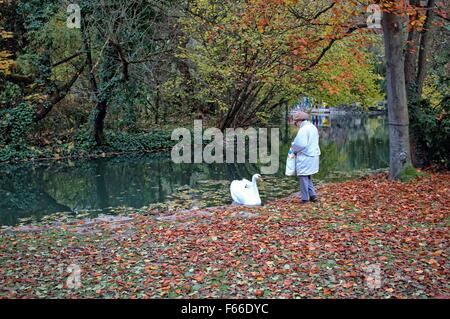 Miskolc, Ungarn 12. November 2015 nach nebligen Morgen, Sonne rised und Temperatur fast 20 Grad Celsius erreicht Grad in der nördlichen ungarischen Miskolc.  Bildnachweis: Michal Fludra/Alamy Live-Nachrichten Stockfoto