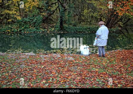 Miskolc, Ungarn 12. November 2015 nach nebligen Morgen, Sonne rised und Temperatur fast 20 Grad Celsius erreicht Grad in der nördlichen ungarischen Miskolc.  Bildnachweis: Michal Fludra/Alamy Live-Nachrichten Stockfoto