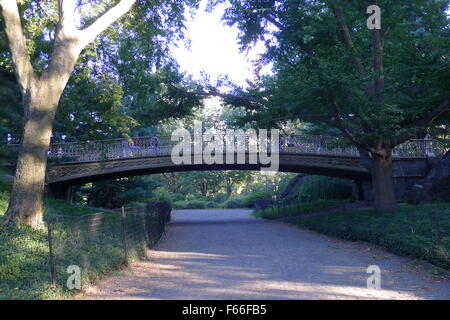 Kiefer-Bank Arch im Central Park Stockfoto