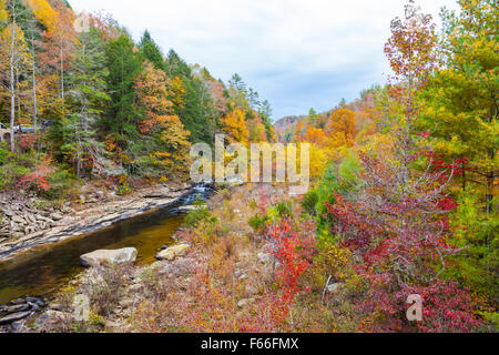 Blick auf Clear Creek von Lilly Brücke bei Obed Wild and Scenic River Stockfoto