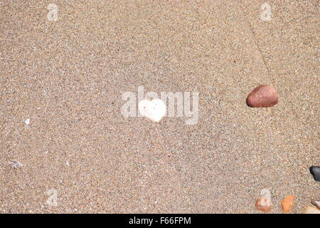 Kieselsteine am Strand in Bundaberg, Queensland, Australien Stockfoto
