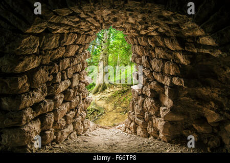 Tunneleingang im Wald Stockfoto