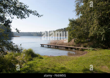 Waschsee in der Nähe von Mechow, Feldberger Seenlandschaft, Landkreis Mecklenburgische Seenplatte, Mecklenburg-Vorpommern, Deutschland Stockfoto