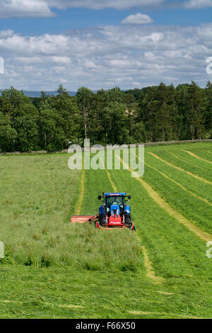 Mähen einer Wiese mit einem New Holland T7 Traktor mit Kvernland Front- und Seitenairbags Mähaufbereiter auf. Cumbria, UK. Stockfoto