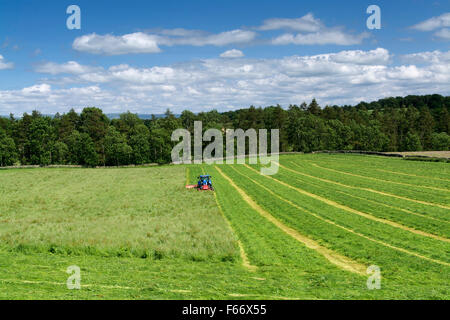 Mähen einer Wiese mit einem New Holland T7 Traktor mit Kvernland Front- und Seitenairbags Mähaufbereiter auf. Cumbria, UK. Stockfoto