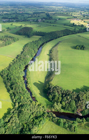 Fluß Eden, gesäumt von einheimischen Wald schlängelt sich durch die Landschaft in der Nähe von Appleby, Cumbria, UK. Stockfoto