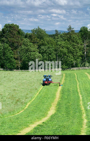 Mähen einer Wiese mit einem New Holland T7 Traktor mit Kvernland Front- und Seitenairbags Mähaufbereiter auf. Cumbria, UK. Stockfoto