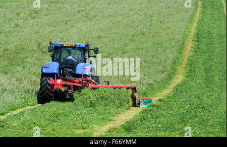 Mähen einer Wiese mit einem New Holland T7 Traktor mit Kvernland Front- und Seitenairbags Mähaufbereiter auf. Cumbria, UK. Stockfoto