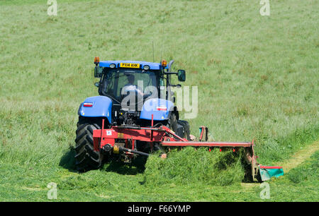 Mähen einer Wiese mit einem New Holland T7 Traktor mit Kvernland Front- und Seitenairbags Mähaufbereiter auf. Cumbria, UK. Stockfoto