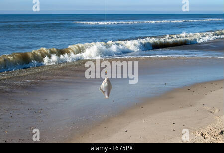 Scholle auf Angel mit Meer im Hintergrund Stockfoto