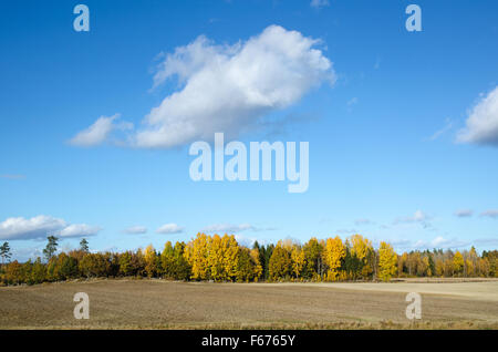 Colorful swedish landscape in sunshine at fall Stockfoto