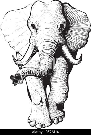 Elefant-Vorderansicht Stock Vektor