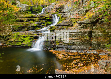 Herbstlaub Wirbel im Pool unter Fabrik Falls Wasserfall an George W. Childs Erholung Standort in diesem Langzeitbelichtung Foto Stockfoto