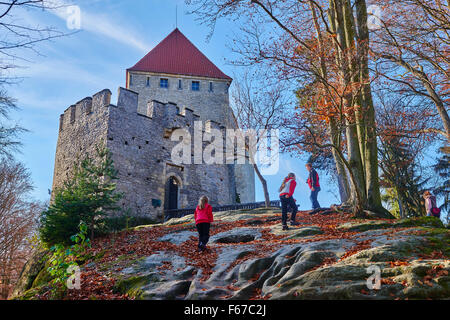 Burg Kokorin, Tschechische Republik Stockfoto