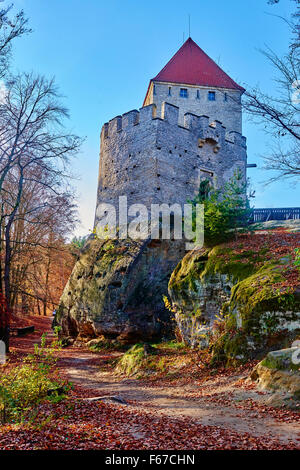 Burg Kokorin, Tschechische Republik Stockfoto