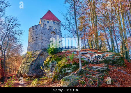 Burg Kokorin, Tschechische Republik Stockfoto