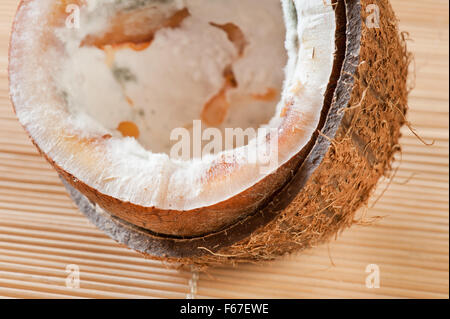 Verschimmelte halbe Kokosnuss Makro, eröffnete Saatgut Interieur, Reife verschimmelt und verfallene Mutter schlecht Nahrungsmittelverschwendung, halbierte Kokosnuss Schale Müll... Stockfoto