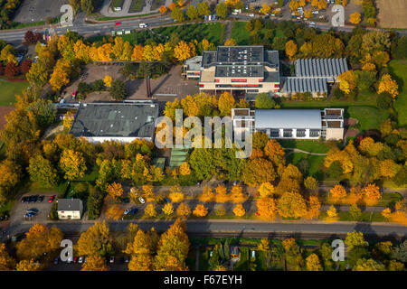 Freiherr-Vom-Stein-Gymnasium im Herbst Blätter, Hamm, Ruhr Area, North Rhine-Westphalia, Germany, Hamm, Ruhrgebiet Stockfoto