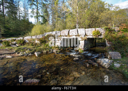 Leder-Tor-Brücke Burrator Dartmoor Devon Uk Stockfoto