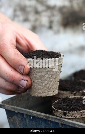 Halten biologisch abbaubaren Topf gefüllt mit Blumenerde mischen Stockfoto