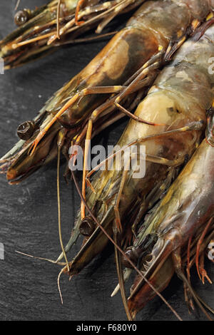 Rohe, ungeschälte Riesengarnelen auf schwarzem Schiefer Hintergrund. Stockfoto