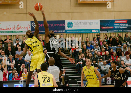 Newcastle Upon Tyne, UK. 13. November 2015. Antone Robinson Sheffield Haifische in gelb und Darius Defoe von Newcastle Adler an der Spitze abspringen. Beobachten sind Colin Sing, Nummer 23, Michael Tuck, Nummer 15 und Joseph Chapman. Newcastle Eagles besiegte Sheffield Haifische 87 - 78 aufnehmen ihren neunten Sieg in Folge und bleibt ungeschlagen. Bildnachweis: Colin Edwards / Alamy Live News Stockfoto