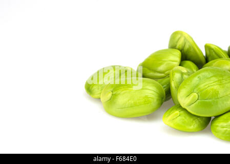 Park Speciosa auf weißem Hintergrund. Stockfoto