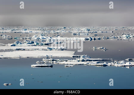 Eisschollen, Rand des Packeises, Nordpolarmeer, Spitzbergen Insel, Spitzbergen, Svalbard und Jan Mayen, Norwegen, Europa Stockfoto