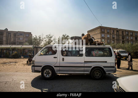 Mann mit Esel auf Autodach, Kabul, Afghanistan Stockfoto