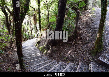 Gewundenen Treppen führen durch den Waldspaziergang am Ship Creek, New Zealand, Westküste Stockfoto