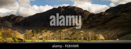 Buttermere Kiefern mit Heuhaufen hinter Stockfoto