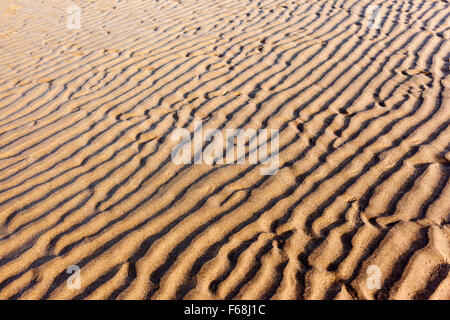 Nahaufnahme von einem Sandstrand mit einer geriffelten Struktur. Selektiven Fokus mit geringen Schärfentiefe. Stockfoto