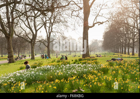 St James Park im Frühling, London, England, UK Stockfoto