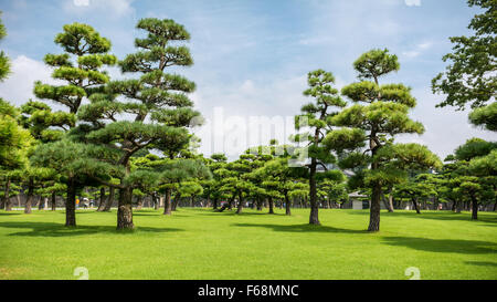 Die Gärten des Kaiserpalastes in Tokio. Stockfoto