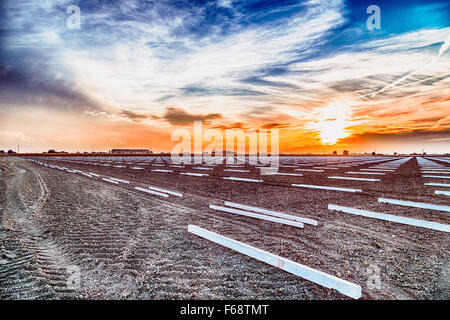 Effizienz und Effektivität in der modernen Landwirtschaft, geometrischen Mustern der Querstangen für die neue Ernte Felder unter einen Sommer Sonnenuntergang in Italien Stockfoto