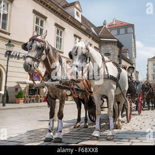 Wien, Österreich - 3 AUGUST: Pferdekutsche Touristen warten, dass der Besuch der Stadt Wien am august 3, 2015 in Wien Stockfoto