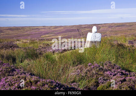 Fat Betty [weißes Kreuz] oben Rosedale danby Hochmoor North York Moors National Park North Yorkshire England Großbritannien Stockfoto