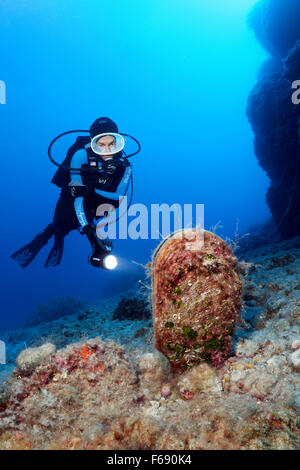 Taucher mit Lampe Beobachtung noble Pen Shell oder Ventilator Muschel (Pinna Nobilis), Korfu, Ionische Inseln, Mittelmeer, Griechenland Stockfoto