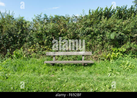 Leer am Straßenrand Bank von Hecke auf Landstraße in Devon Stockfoto