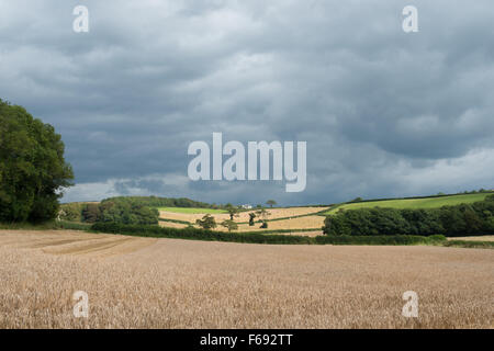Sturm Wolken über Weizen-und Strohballen in der Nähe von Modbury in South Hams, Devon Stockfoto