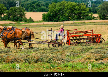 Junge Amish junge eine Pferdekutsche Landwirtschaft Maschine in den Bereichen von Wisconsin Stockfoto