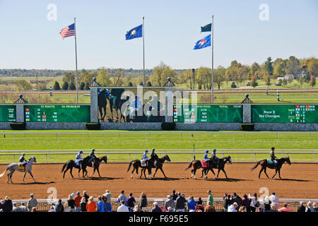 Vollblut-Pferde zu Fuß zum Tor bei Keeneland, Lexington, Kentucky Stockfoto