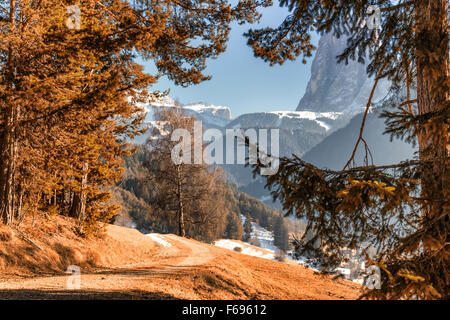 Berghütte braunen Gras im Tal der Pinienwälder und schneebedeckte Berge im winter Stockfoto